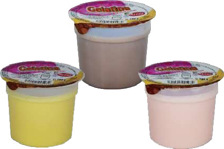 Gelatina de Leche