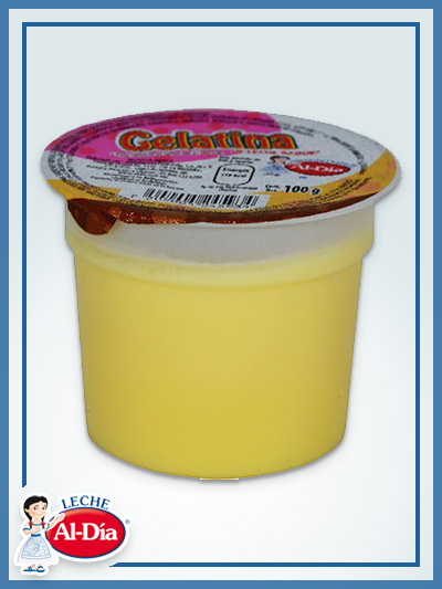 GELATINA DE LECHE SABOR VAINILLA